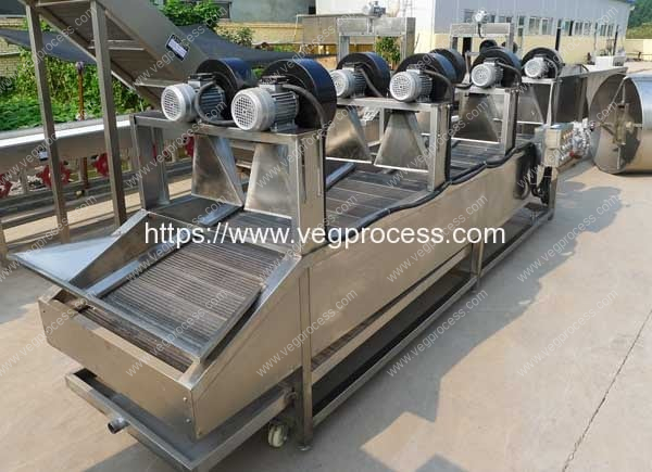 Automatic-Air-Blow-Type-Vegetable-Water-Dehydrator-Machine