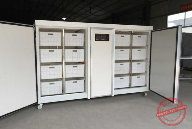 Automatic Bean Sprout Growing Machine Vegetable Processing Machine