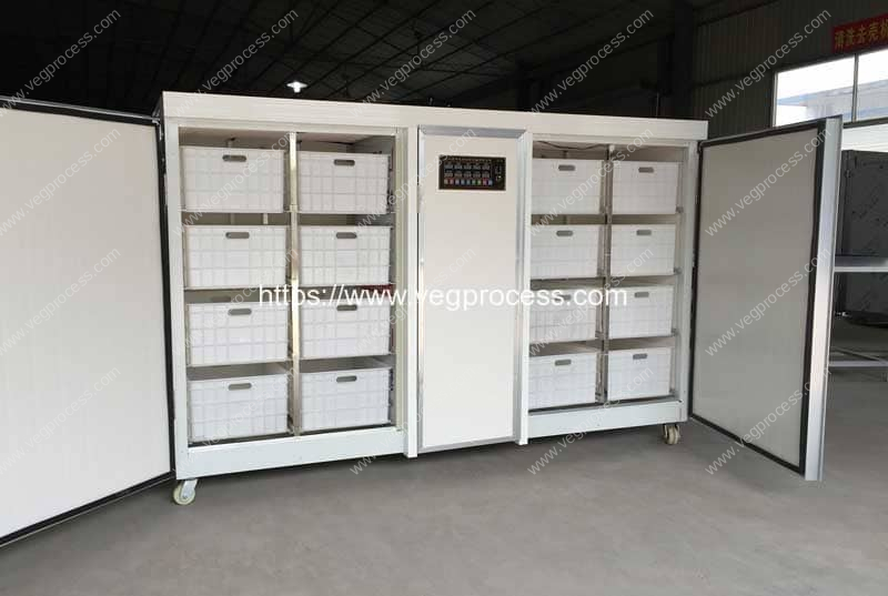 Details about   Household Automatic Bean Sprouts Machine 2 Layer Bean Seed Sprouter Machine Good 