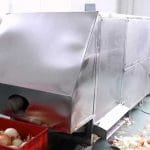 Automatic Bulk Type Onion Peeling Machine