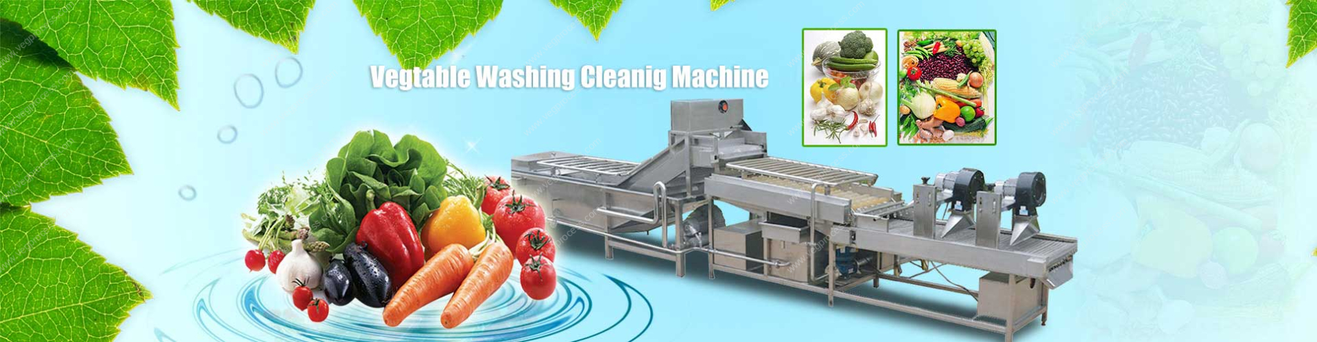 Banner01-Vegetable-Washing-Cleaning-Line