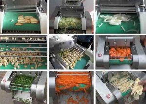 Multi-Functional-Vegetable-Cutting-Machine-Application