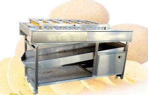 Brush Type Vegetable Impurity Washing Cleaning Machine