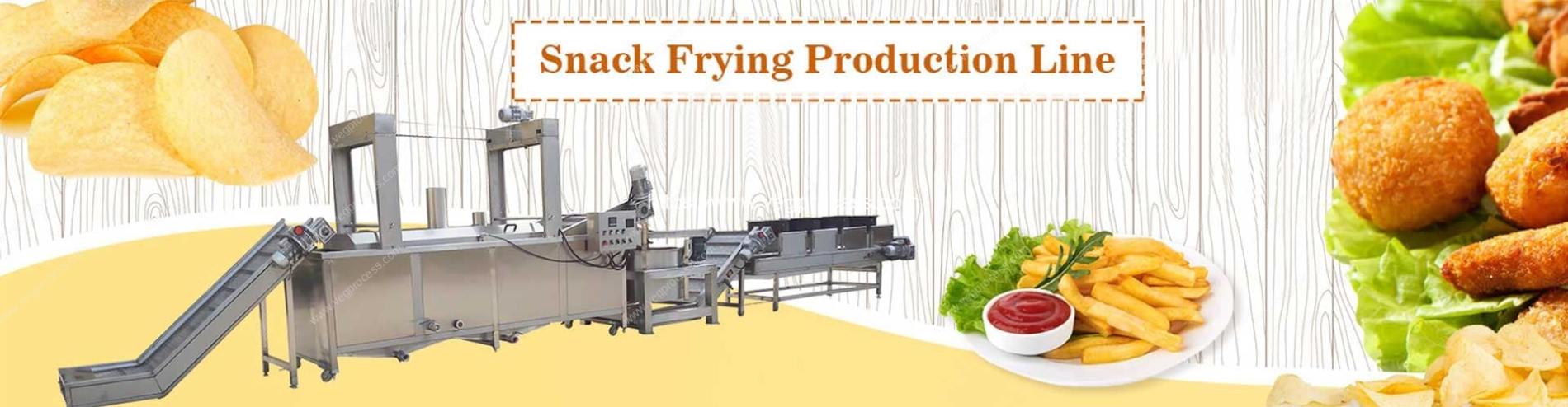 Banner02-Vegetable-Snack-Frying-Processing-Plant