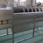 Screw Type Root Vegetable Washing Peeling Machine Screw Type Root Vegetable Washing Peeling Machine