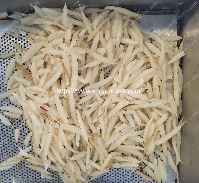 Asparagus-Cochinchinensis-Peeling-Machine-Result