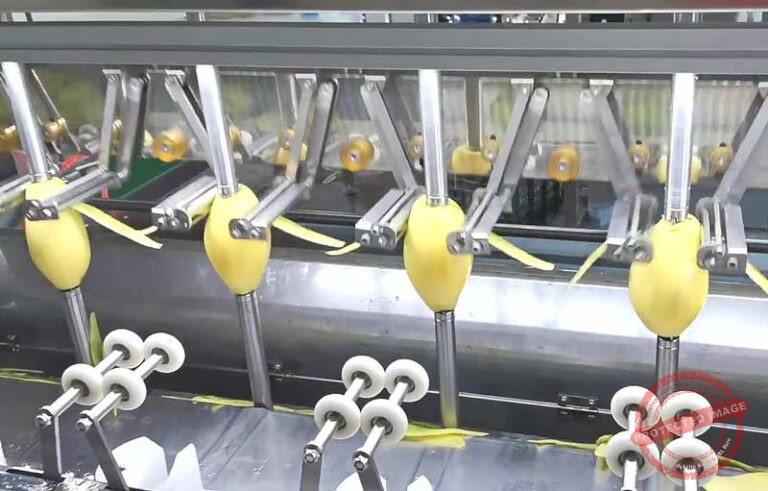 Hand Operate Imitate Type Mango Peeling Machine | Vegetable Processing ...