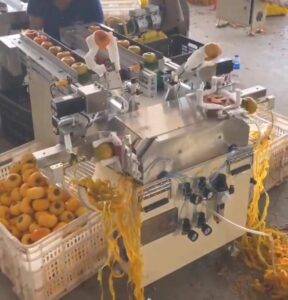 Automatic Feeding Persimmon Peeling Machine Automatic Feeding Persimmon Peeling Machine