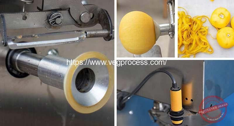 Semi-Automatic-Persimmon-Leaf-Cutting-and-Peeling-Machine-Suction-Clamp-Device
