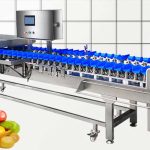 Automatic Fruit Vegetable Weight Grading Sorting Machine
