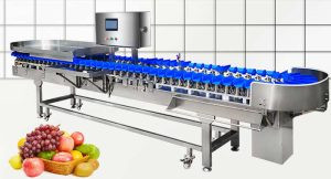 Automatic Fruit Vegetable Weight Grading Sorting Machine Automatic Fruit Vegetable Weight Grading Sorting Machine