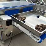 Double Belt Areca Catechu Betel Nut Half Dividing Cutting Machine