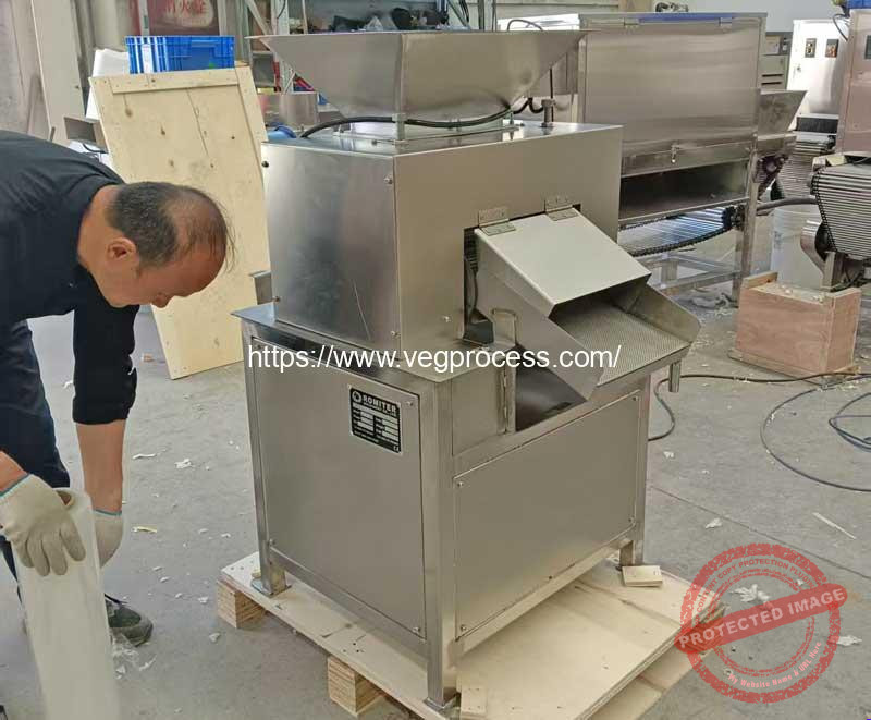 Automatic-Lemon-Juice-Pressing-Extracting-Machine-for-Morocco